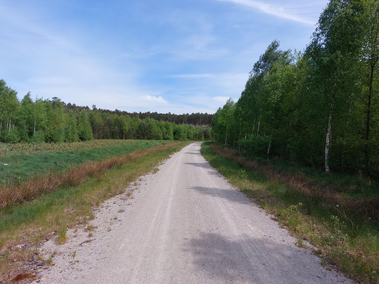 Działka rekreacyjna Starzechowice Sęp, BRAK. Zdjęcie 24