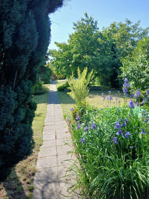 Działka rod Gdańsk Stogi. Zdjęcie 2