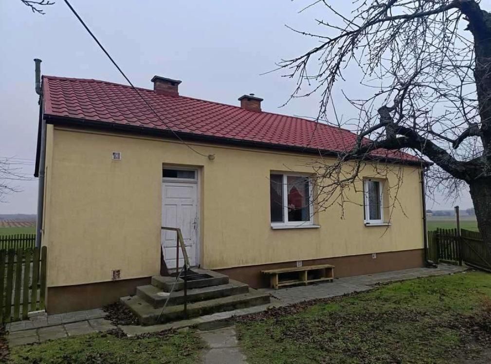Działka siedliskowa Bachus. Zdjęcie 4