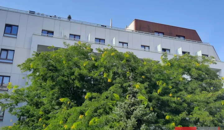 Mieszkanie 2-pokojowe Warszawa Bielany, ul. Jana Kasprowicza