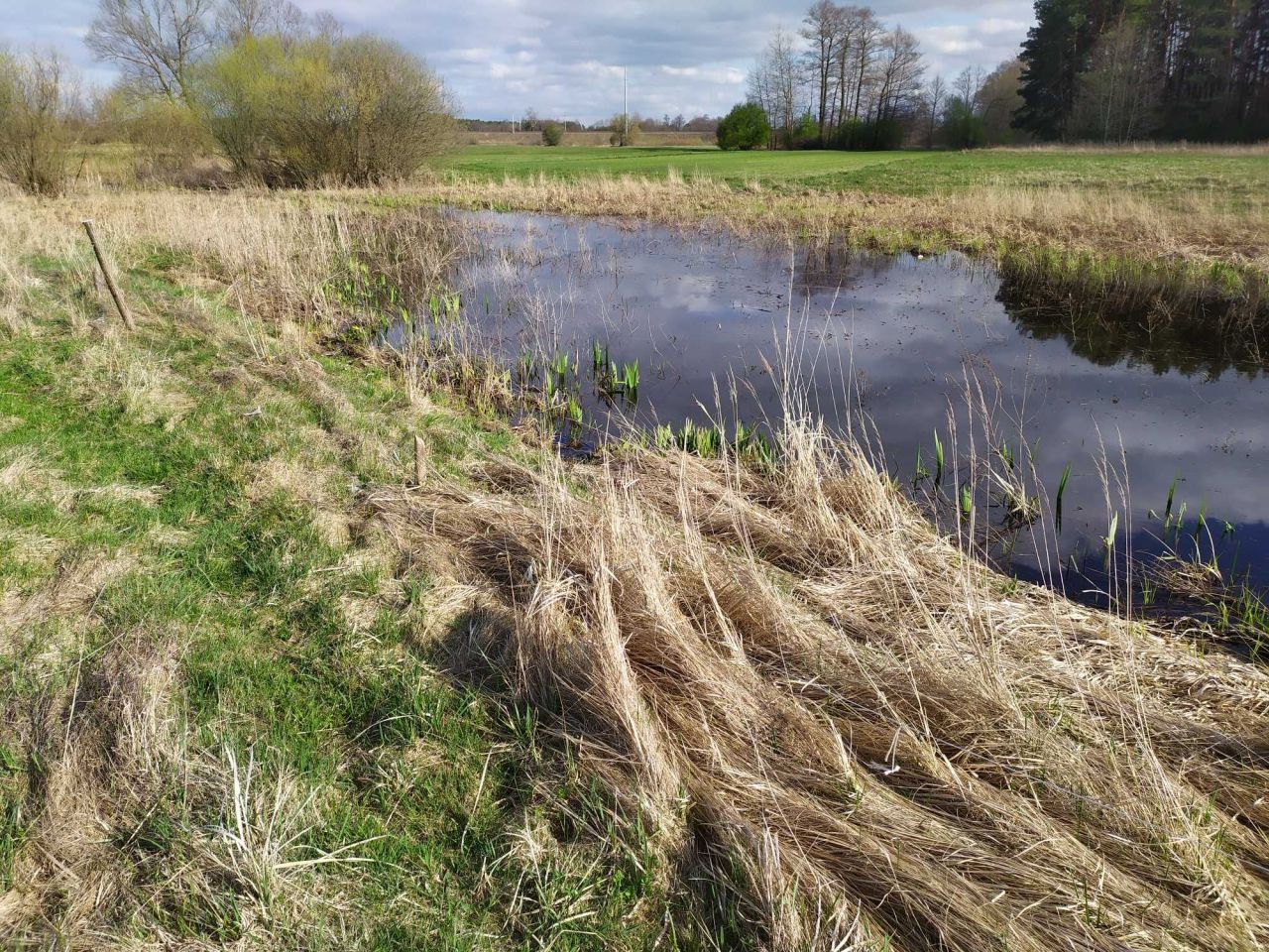 Działka rolno-budowlana Klukowo. Zdjęcie 2
