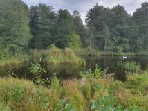 Działka budowlana Sadek, ul. al. Brzozowa. Zdjęcie 1