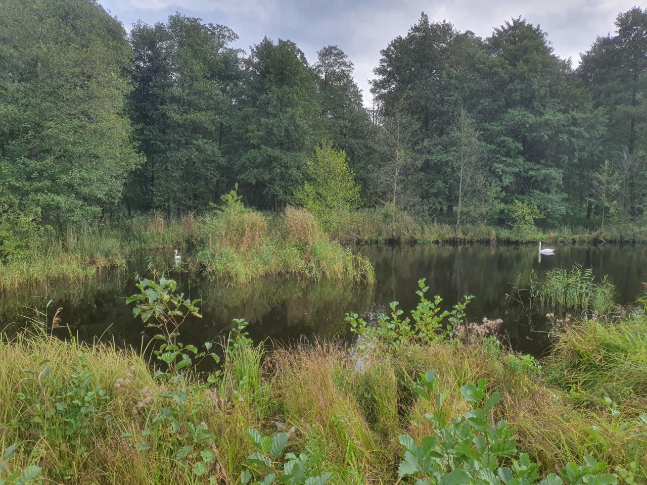 Działka budowlana Sadek, ul. al. Brzozowa. Zdjęcie 2
