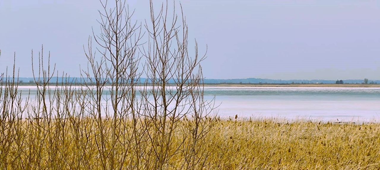 Działka rolno-budowlana Siemianówka Maruszka, ul. Łabędzia. Zdjęcie 8