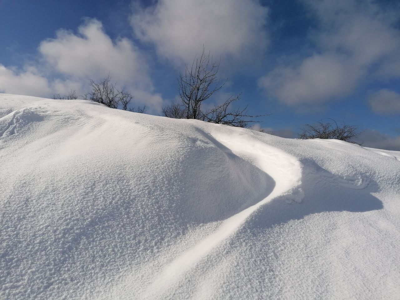 Działka rekreacyjna Rybotycze. Zdjęcie 27