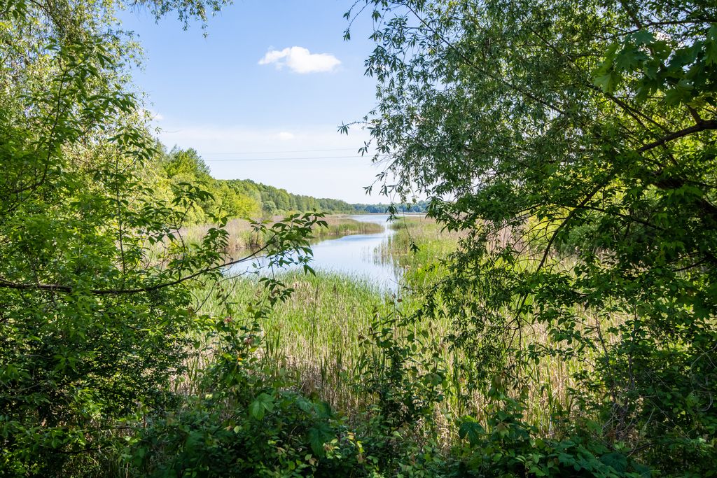 Mieszkanie 2-pokojowe Poznań Zieliniec, ul. Sarnia. Zdjęcie 4