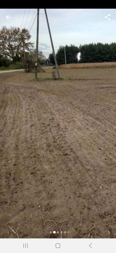 Działka rolna Żerniki. Zdjęcie 3