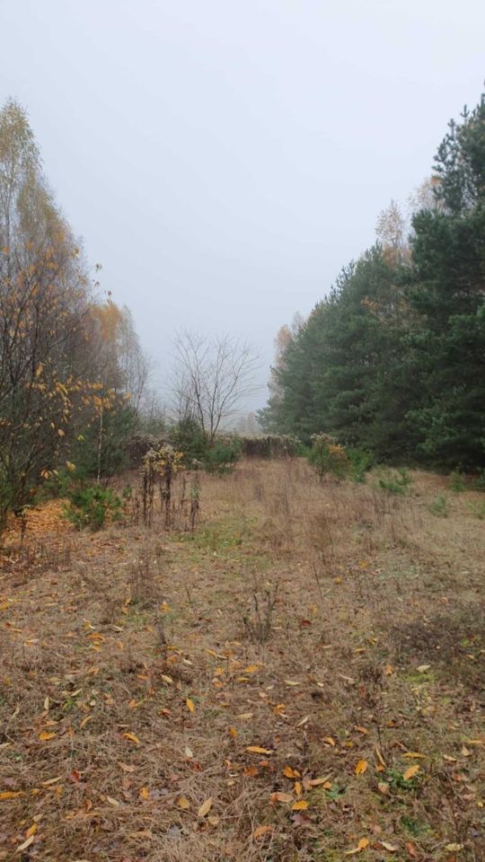 Działka leśna Helenów. Zdjęcie 7