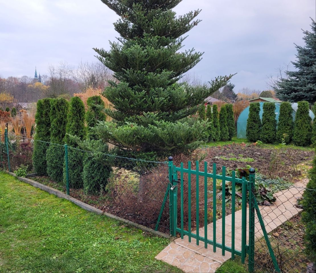 Działka rod Tarnobrzeg. Zdjęcie 6