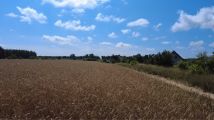 Działka inwestycyjna Jednorożec. Zdjęcie 4