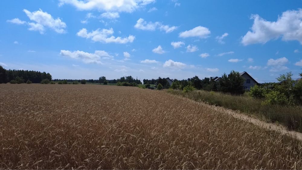 Działka inwestycyjna Jednorożec. Zdjęcie 5