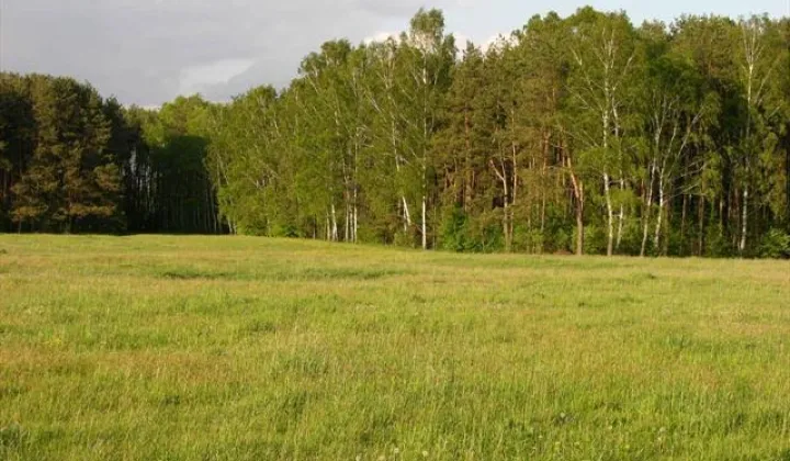 Działka rolna Glinianka, ul. Szkolna