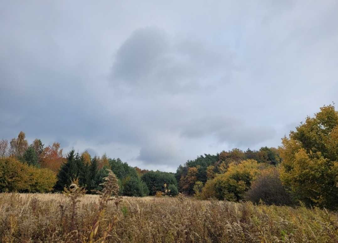 Działka budowlana Puławy Włostowice, ul. Józefa Sypniewskiego. Zdjęcie 2