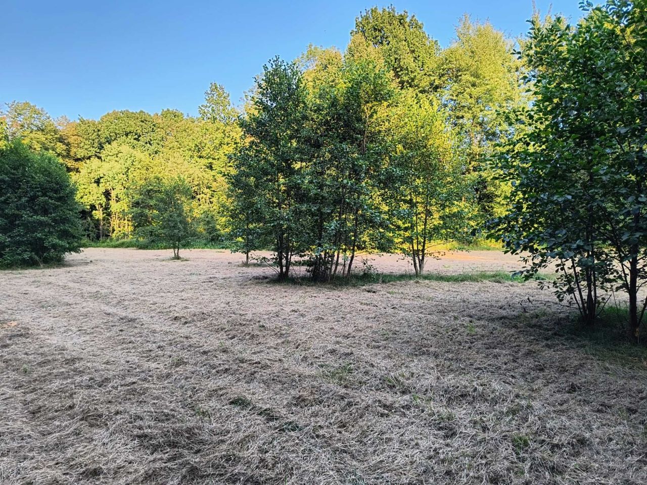 Działka rolna Witkowice. Zdjęcie 6