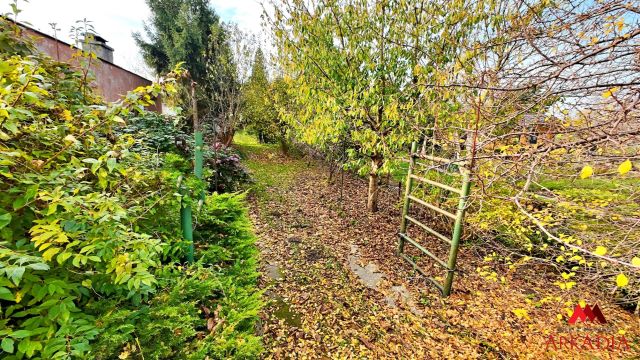 Działka rod Włocławek Zawiśle . Zdjęcie 3