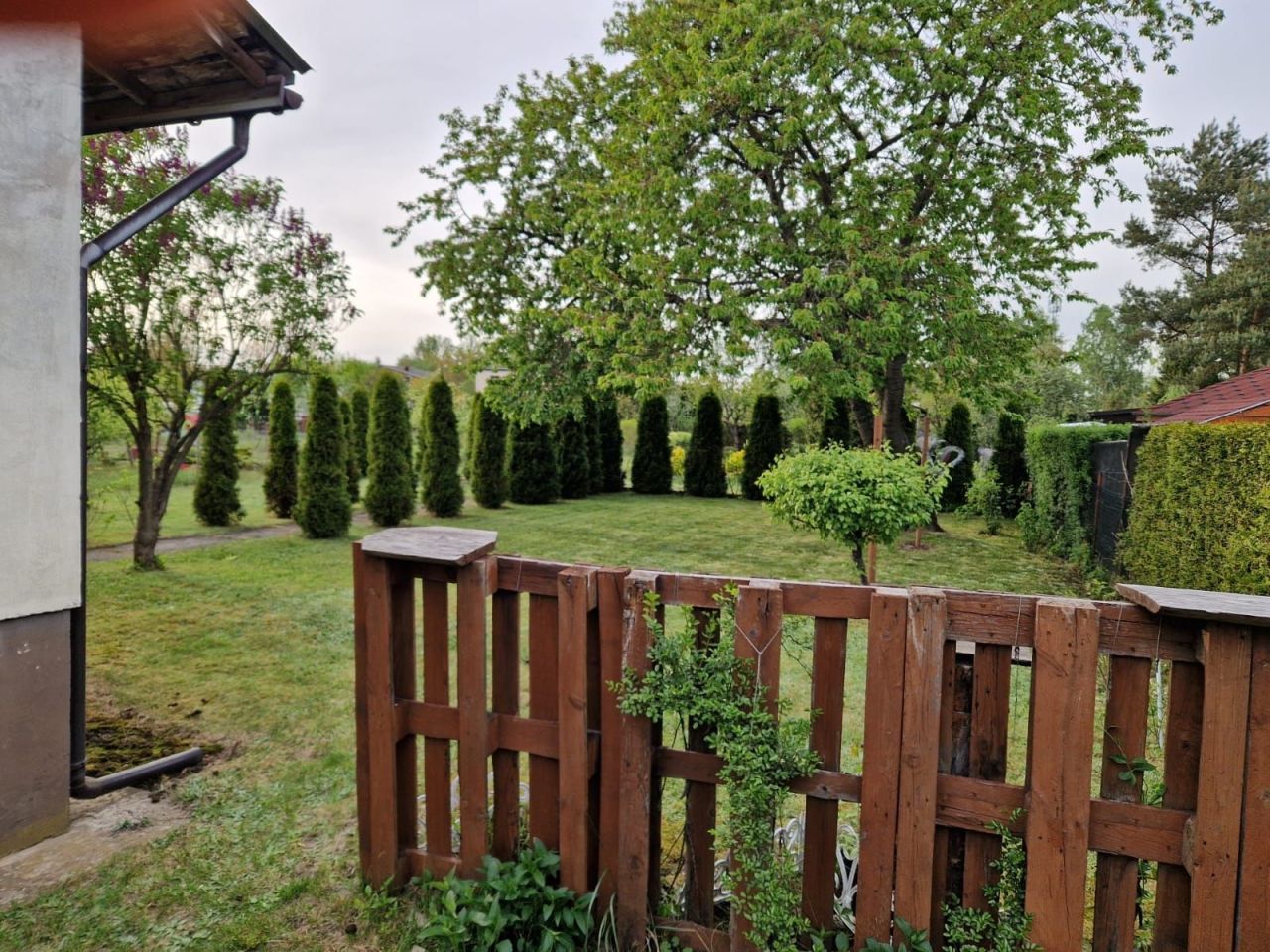 Działka rod Częstochowa Bór. Zdjęcie 4