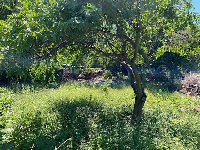 dom letniskowy Warszawa Saska Kępa. Zdjęcie 1