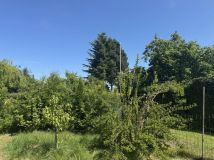 Działka rod Racibórz. Zdjęcie 3