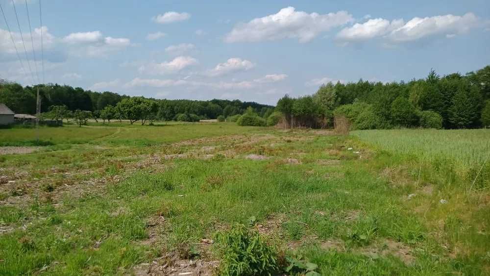 Działka rolno-budowlana Leśniczówka. Zdjęcie 3