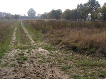 Działka rolno-budowlana Magdalenów. Zdjęcie 4