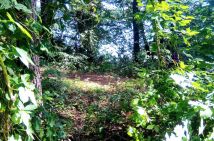 Działka rekreacyjna Wiewiórczyn. Zdjęcie 2