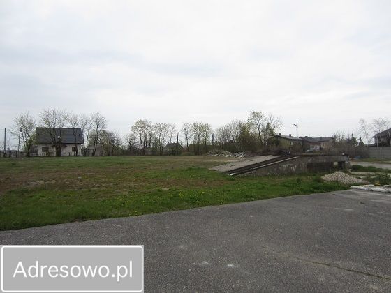 Hala/magazyn Russocice. Zdjęcie 14