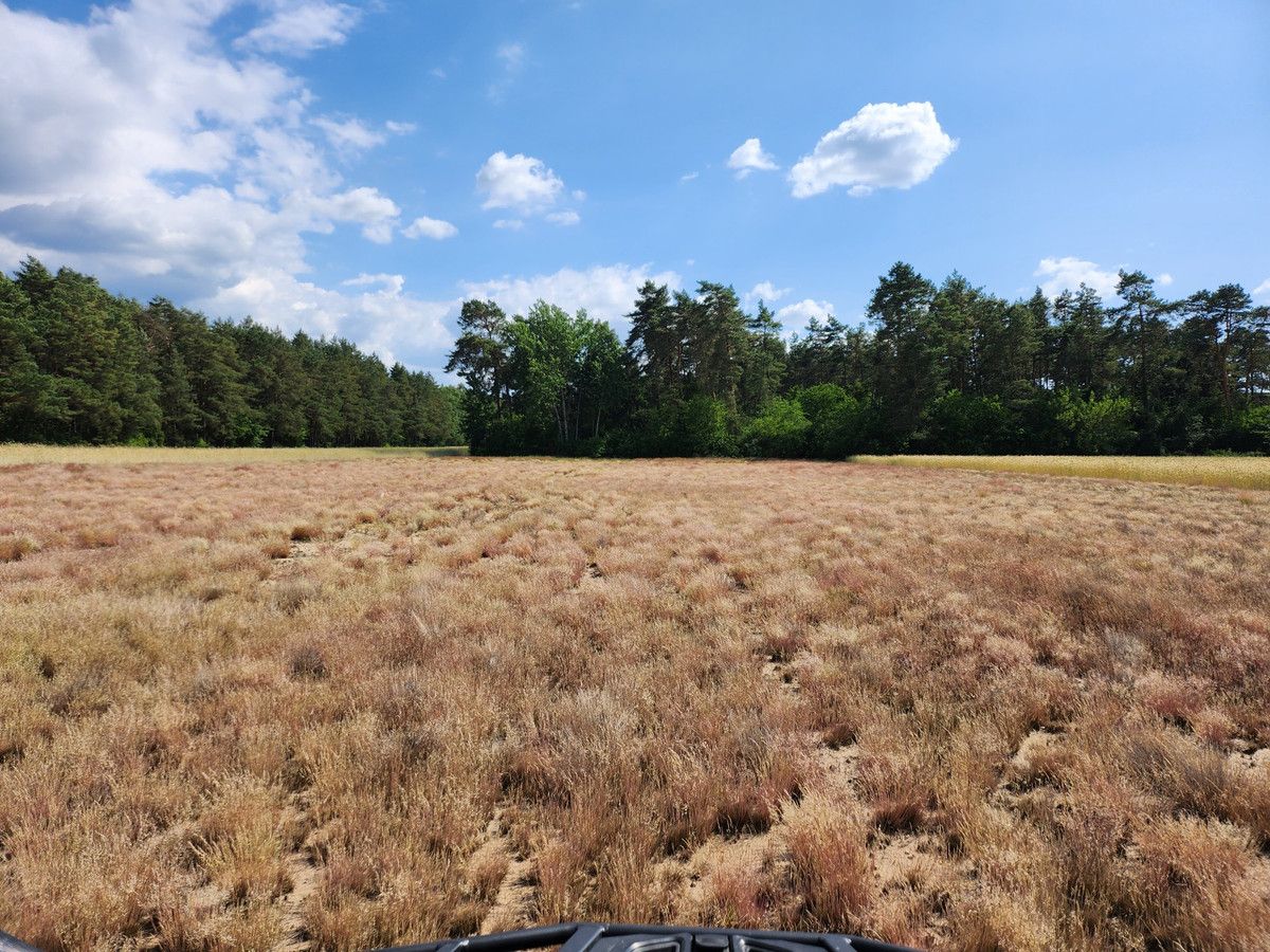 Działka rolna Joniec-Kolonia. Zdjęcie 6