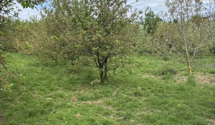 Działka budowlana Miłków