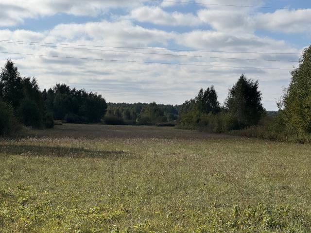 Działka inwestycyjna Stary Janków. Zdjęcie 3