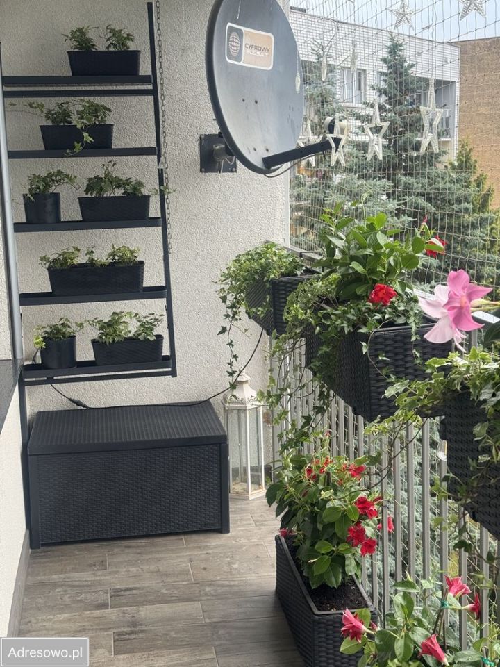 Mieszkanie 2-pokojowe Polkowice, ul. Ociosowa. Zdjęcie 9