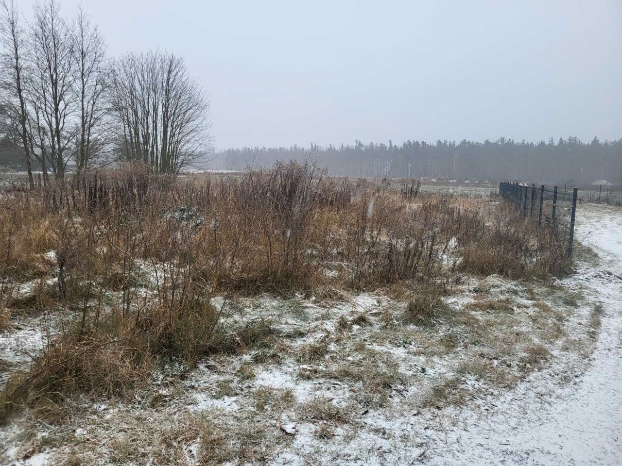 Działka budowlana Sieniawa Żarska. Zdjęcie 7