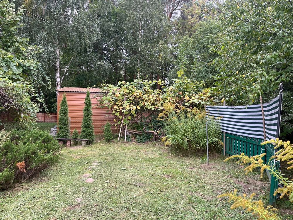 Działka rod Radom, ul. Wincentego Witosa. Zdjęcie 7