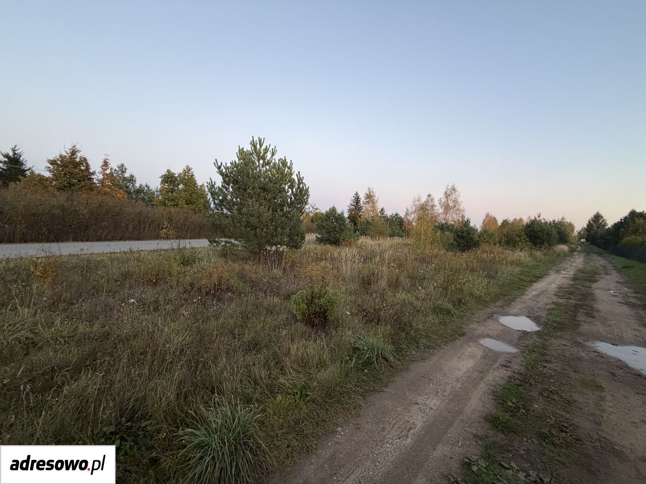 Działka budowlana Joniec-Kolonia. Zdjęcie 2