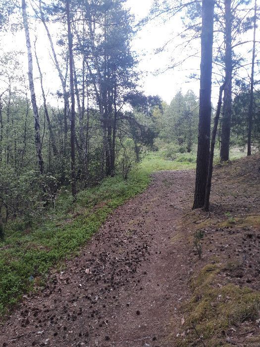 Działka rekreacyjna Kolonie Stanisławów. Zdjęcie 6