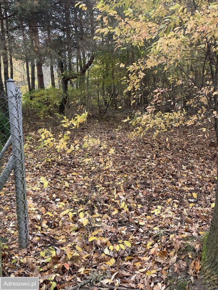 Działka budowlana Prace Duże, ul. Tarczyńska. Zdjęcie 6