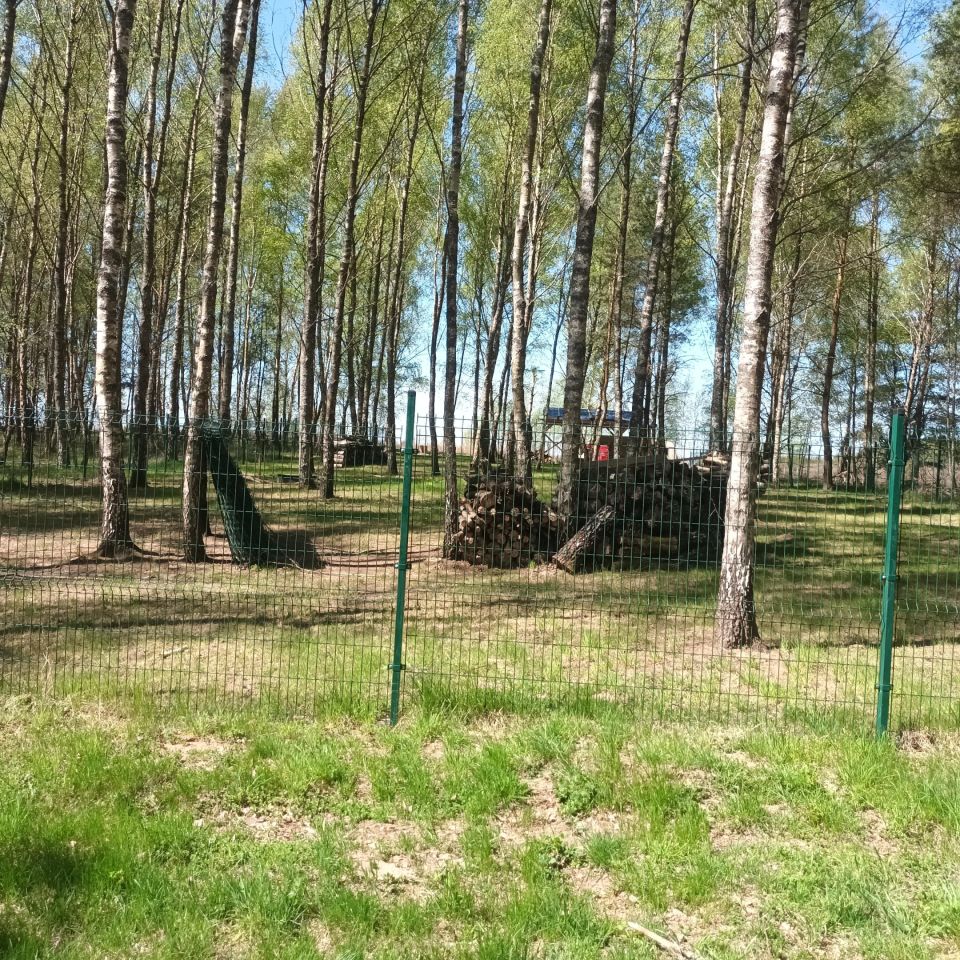 Działka budowlana Grąbczyn. Zdjęcie 5