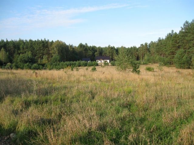 Działka rolno-budowlana Osowo Leśne. Zdjęcie 1