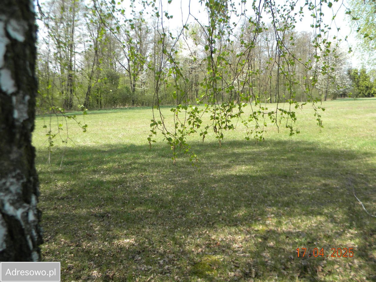 Działka rolna Nowy Dworek. Zdjęcie 7