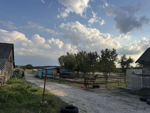 Działka siedliskowa Marianów. Zdjęcie 1