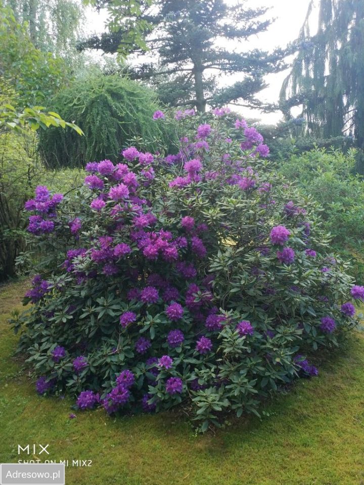 dom wolnostojący, 3 pokoje Wycinki. Zdjęcie 6