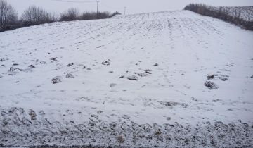 Działka rolno-budowlana Igołomia Luborzyczka