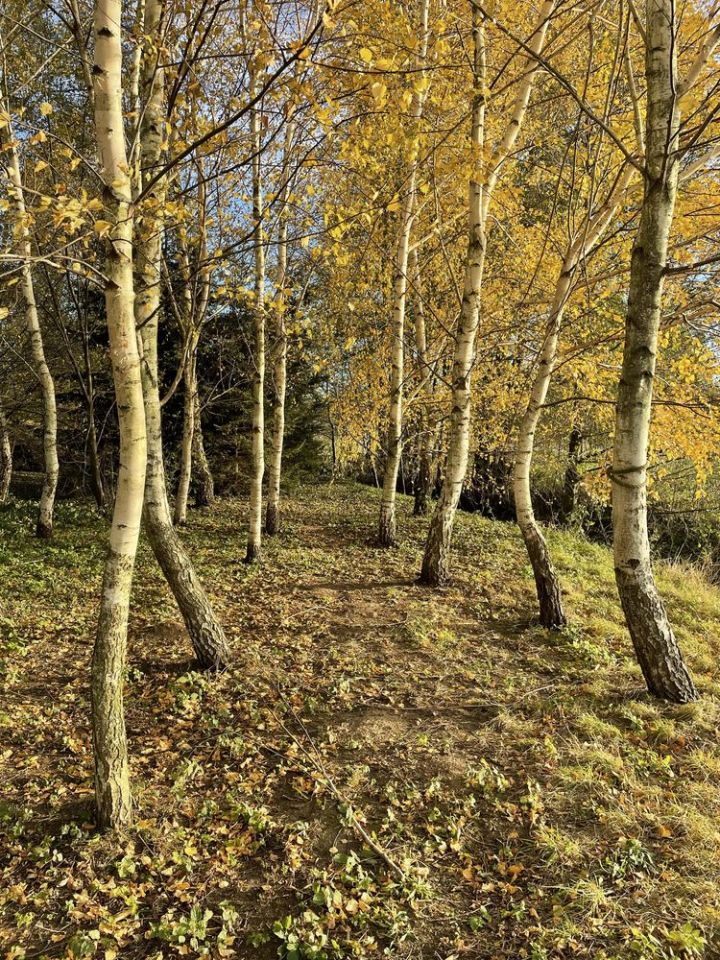 Działka budowlana Krzyworzeka. Zdjęcie 2