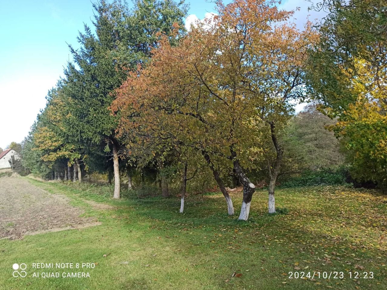 Działka rolna Asuny. Zdjęcie 4