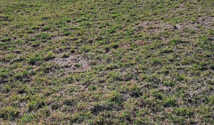 Działka budowlana Czyprki