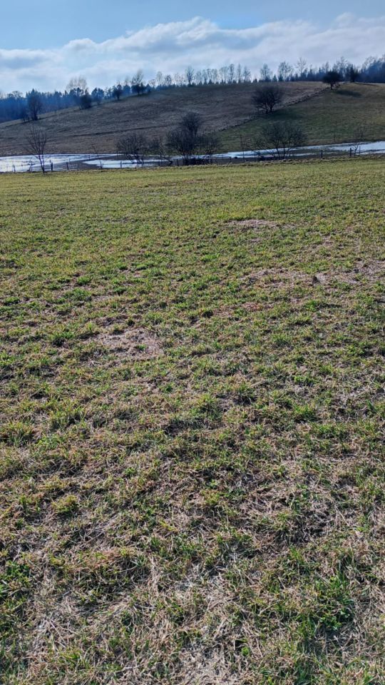 Działka budowlana Czyprki. Zdjęcie 1