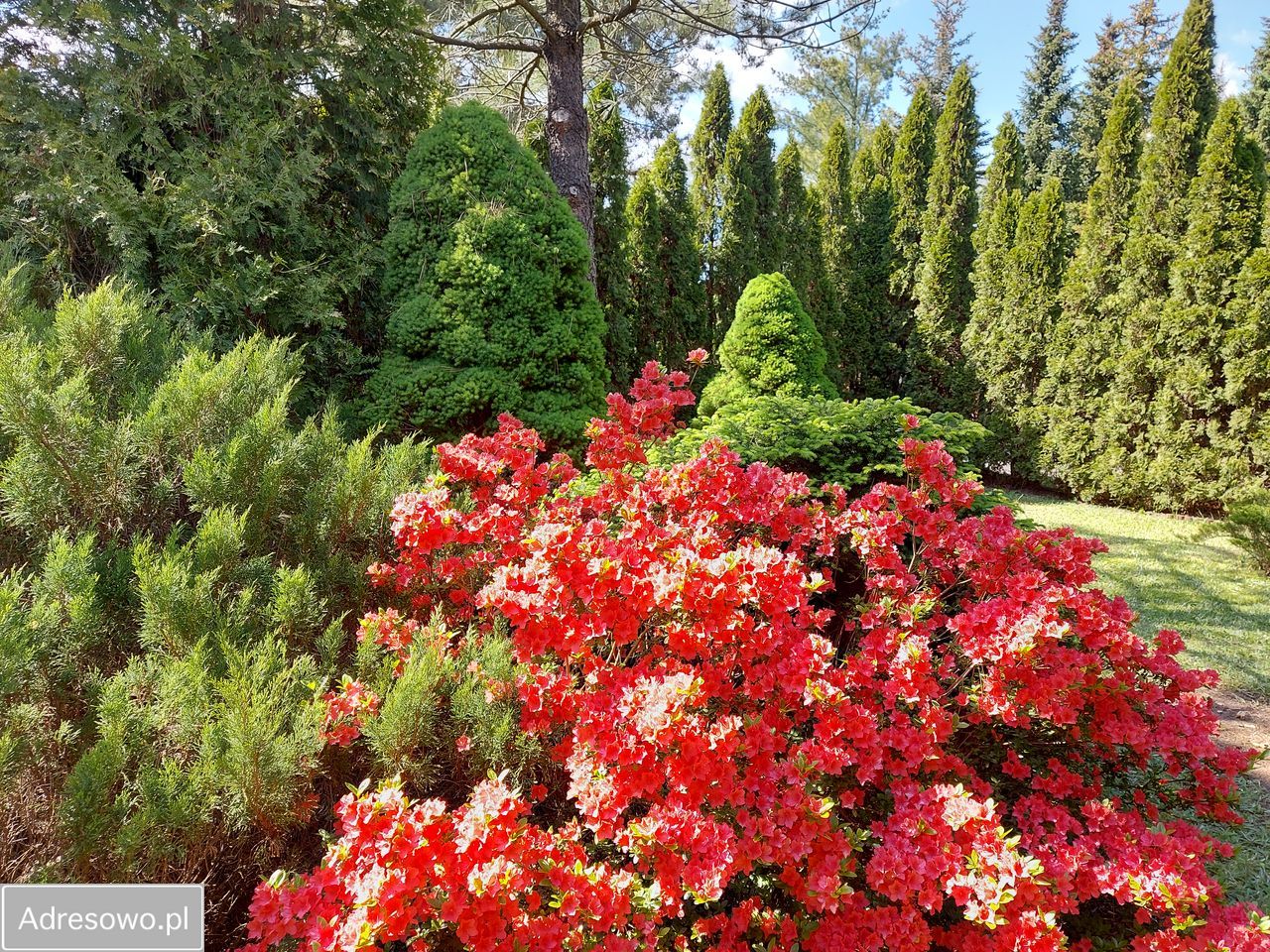 Działka rod Krępa, ul. Długa. Zdjęcie 10