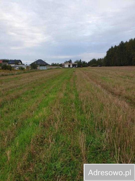 Działka rolno-budowlana Górno-Parcele. Zdjęcie 11