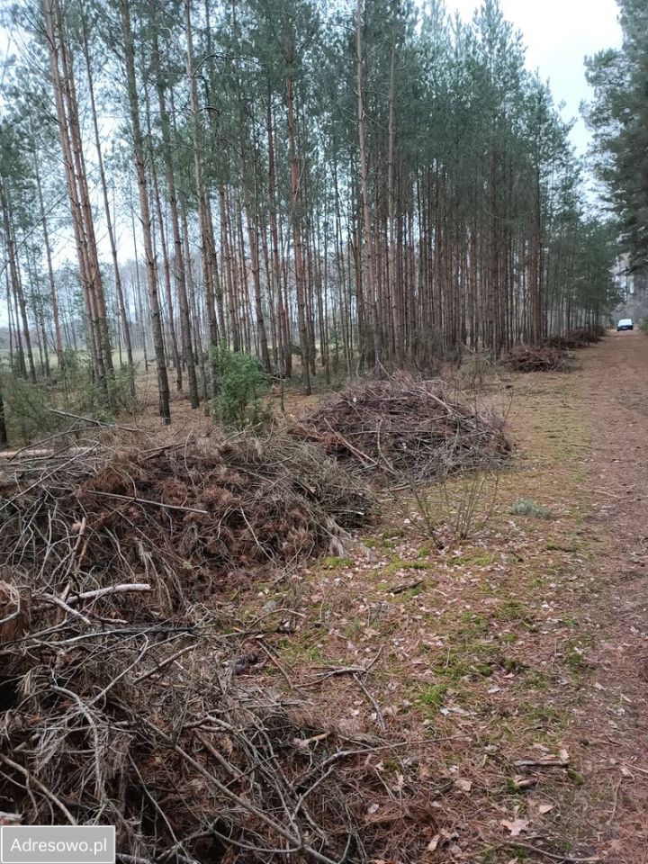 Działka rolna Filochy. Zdjęcie 10
