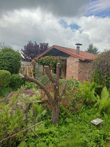 Działka rod Białogard. Zdjęcie 1