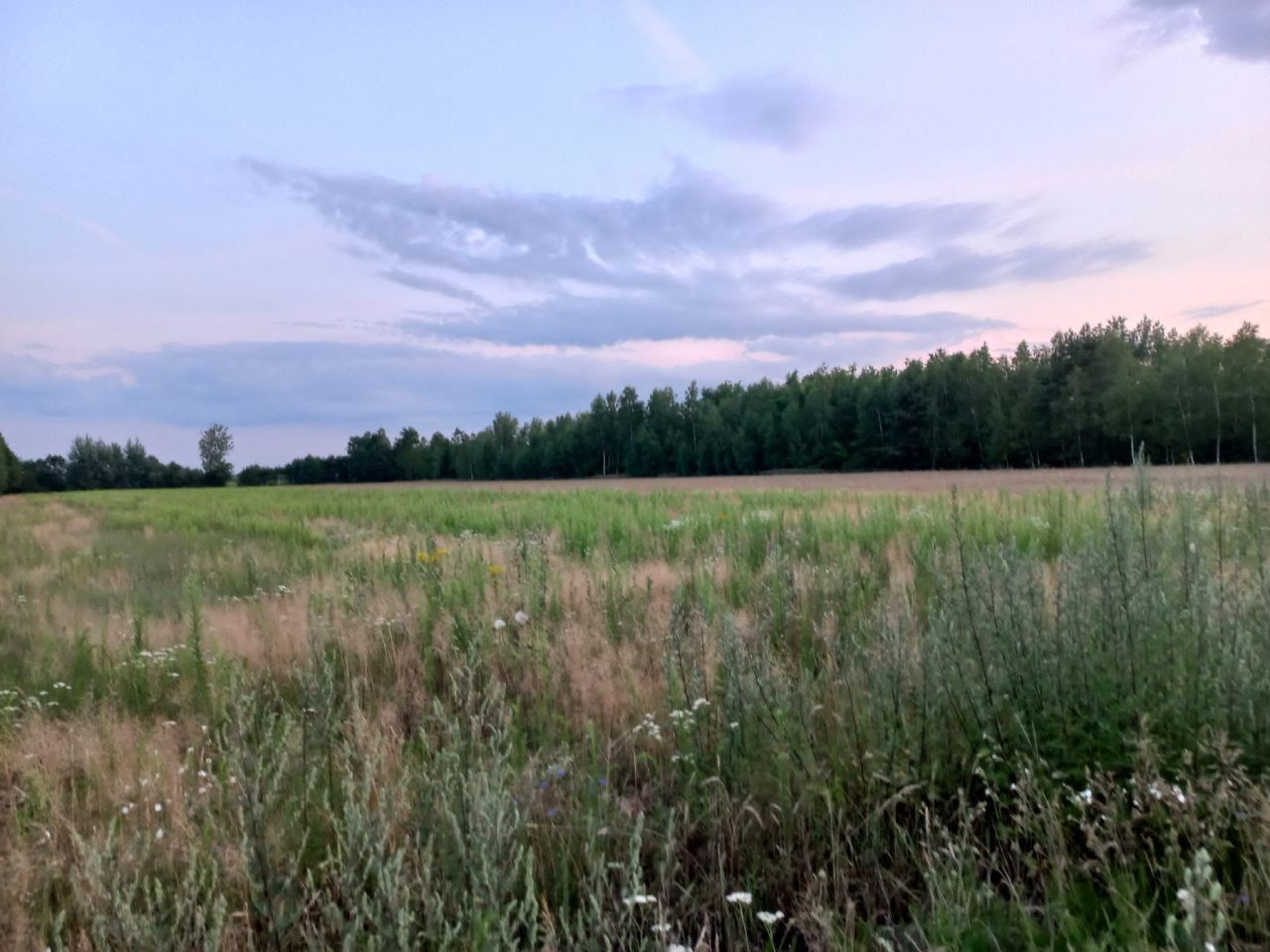 Działka budowlana Pomiary. Zdjęcie 6